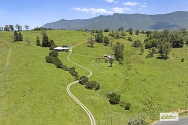 Click to view all images 365 Tyalgum Creek Road Tyalgum Creek NSW 2484 - Image 1