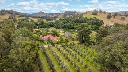 Lot 123 Chichester Dam Road Dungog NSW 2420 - Image 1