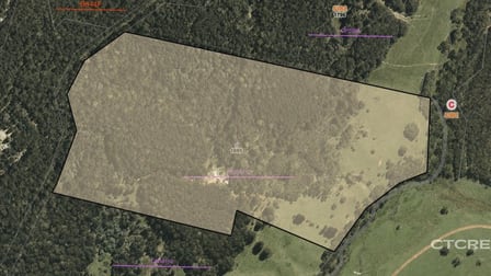 1695 Bendoc-Orbost Road Bendoc VIC 3888 - Image 1