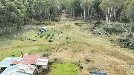 1695 Bendoc-Orbost Road Bendoc VIC 3888 - Image 3