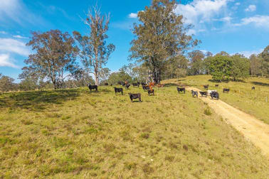 449 Hickeys Creek Road Millbank NSW 2440 - Image 3