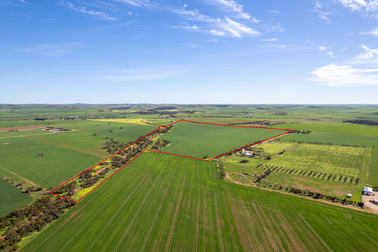 40 Burrawing Creek Road Lipson SA 5607 - Image 1