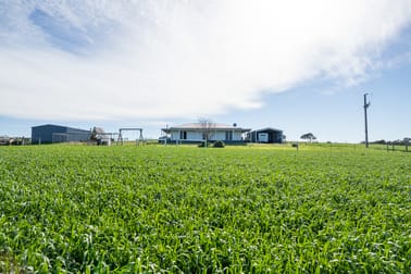 40 Burrawing Creek Road Lipson SA 5607 - Image 2