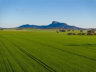 621 The Rock-Collingullie Road The Rock NSW 2655 - Image 1