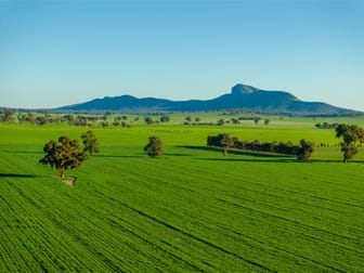 621 The Rock-Collingullie Road The Rock NSW 2655 - Image 2