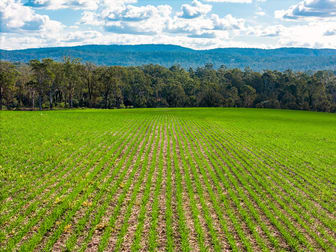 119 Paddys Flat Road Tabulam NSW 2469 - Image 1