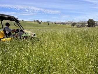 4162 Frogmore Road Hovells Creek NSW 2794 - Image 3