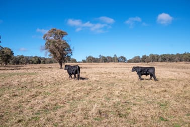 1504 Morven Road Dundee NSW 2370 - Image 2