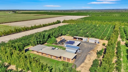 243 Wises Road Alloway QLD 4670 - Image 2