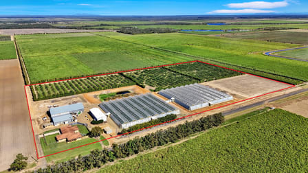 345 Wises Road Alloway QLD 4670 - Image 1