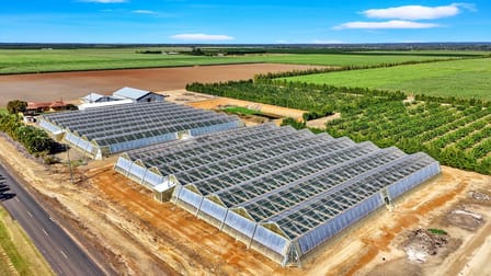 345 Wises Road Alloway QLD 4670 - Image 2