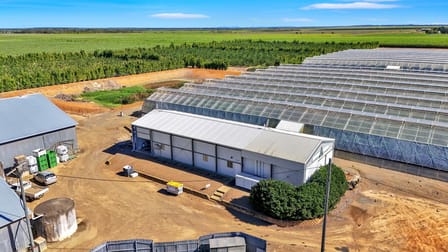345 Wises Road Alloway QLD 4670 - Image 3
