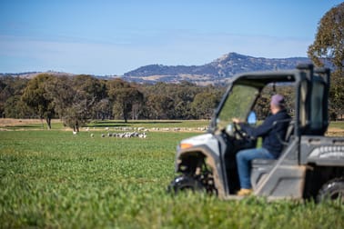 214 Tarban Loop Road Tenterfield NSW 2372 - Image 1