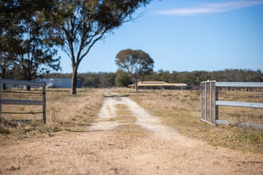 214 Tarban Loop Road Tenterfield NSW 2372 - Image 2