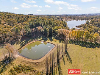 303 Lake Canobolas Rd Road Canobolas NSW 2800 - Image 2