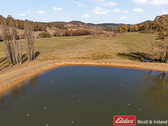 303 Lake Canobolas Road Canobolas NSW 2800 - Image 2