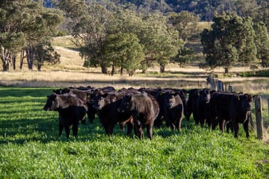 3953 Halls Creek Road Manilla NSW 2346 - Image 1