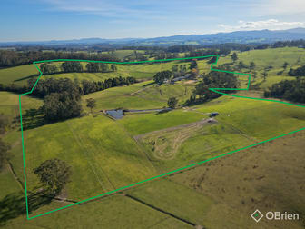 1246 Bloomfield Road Crossover VIC 3821 - Image 1