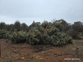 292 Neymerup Road Boscabel WA 6394 - Image 2