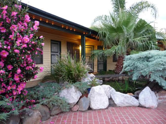 Accommodation & Tourism  business for sale in Gulgong - Image 1