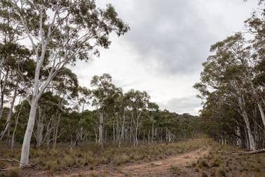 Lot 147, 1093 Pyramul Road Mudgee NSW 2850 - Image 3