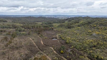 Lot 146, 1093 Pyramul Road Mudgee NSW 2850 - Image 3