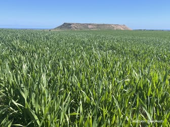 Lot 112 Jackson Road Bowes WA 6535 - Image 1