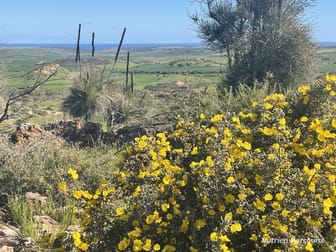 Lot 112 Jackson Road Bowes WA 6535 - Image 2