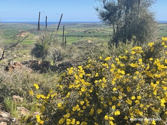 Lot 112 Jackson Road Bowes WA 6535 - Image 2