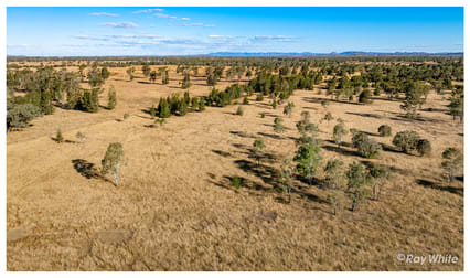 133 Woodford Road Alton Downs QLD 4702 - Image 3