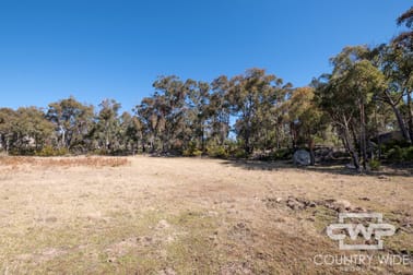 332, 41 Gilligans Lane Torrington NSW 2371 - Image 2