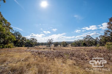 332, 41 Gilligans Lane Torrington NSW 2371 - Image 3