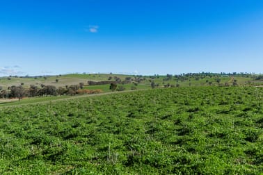 670 Leahy Road Harefield NSW 2650 - Image 1