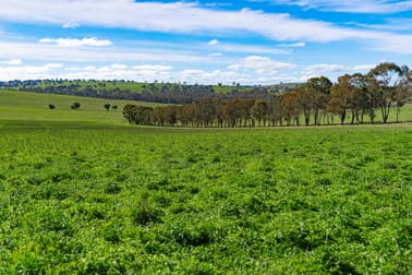 670 Leahy Road Harefield NSW 2650 - Image 2