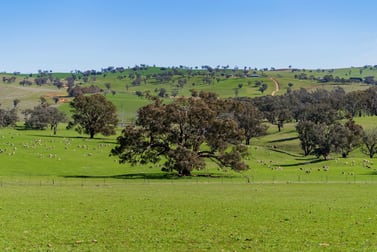 670 Leahy Road Harefield NSW 2650 - Image 3
