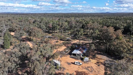 97 Aquilla Ave Dandry NSW 2357 - Image 1