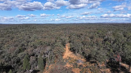 97 Aquilla Ave Dandry NSW 2357 - Image 2