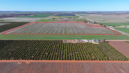 Lot 1/DP 1309984 Ross Road Yoogali NSW 2680 - Image 1