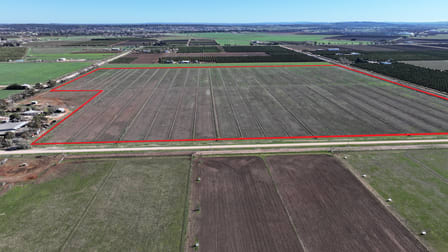 Lot 1/DP 1309984 Ross Road Yoogali NSW 2680 - Image 2
