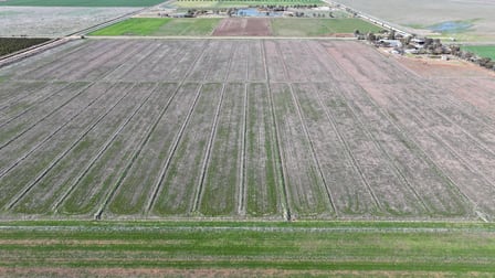 Lot 1/DP 1309984 Ross Road Yoogali NSW 2680 - Image 3