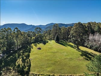 1148 Tuntable Creek Road Nimbin NSW 2480 - Image 3