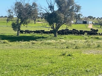 1770 Beermullah Road West Wanerie WA 6503 - Image 3