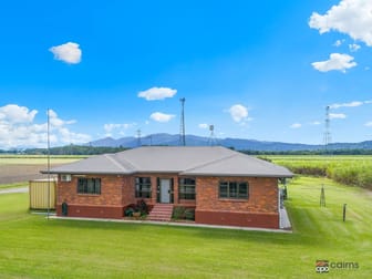 80 Haren Road Bellenden Ker QLD 4871 - Image 2