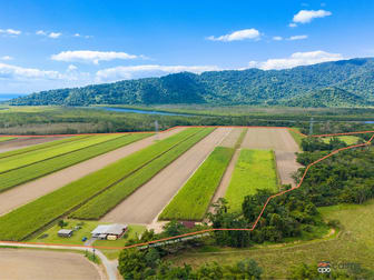80 Haren Road Bellenden Ker QLD 4871 - Image 1