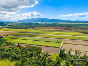 80 Haren Road Bellenden Ker QLD 4871 - Image 2