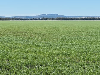 Lot 95 Bacons Road Kelvinhaugh QLD 4401 - Image 1