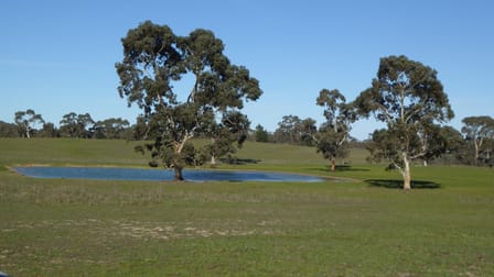 2147 Bangham Road Frances SA 5262 - Image 2