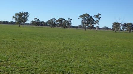 2147 Bangham Road Frances SA 5262 - Image 3