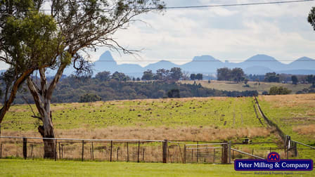 2911 Tooraweenah Road Mendooran NSW 2842 - Image 2