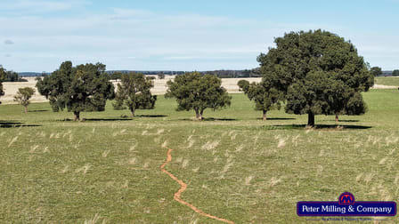 2911 Tooraweenah Road Mendooran NSW 2842 - Image 3